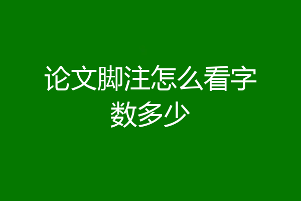 论文脚注怎么看字数多少