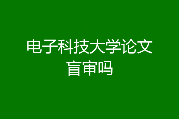电子科技大学论文盲审吗