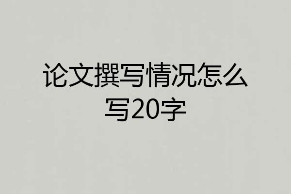 论文撰写情况怎么写20字