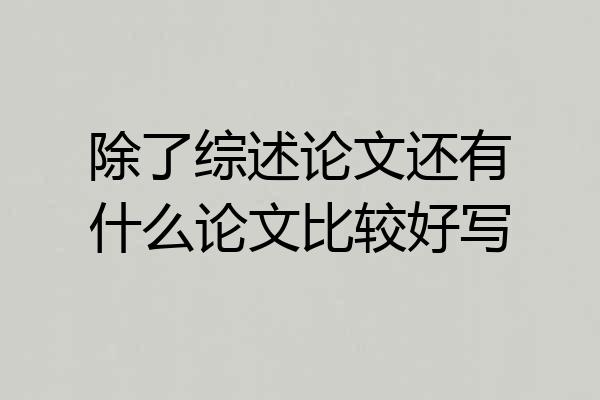 除了综述论文还有什么论文比较好写