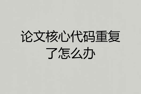 论文核心代码重复了怎么办