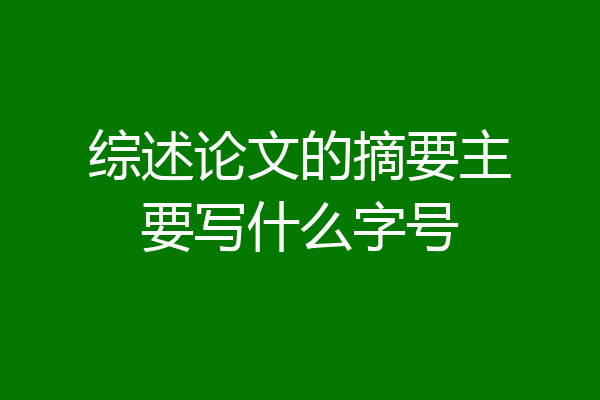 综述论文的摘要主要写什么字号