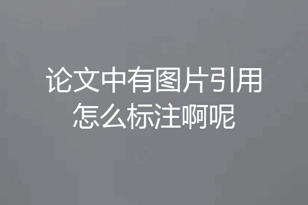 论文中有图片引用怎么标注啊呢