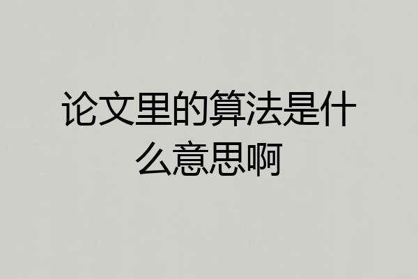 论文里的算法是什么意思啊