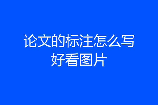 论文的标注怎么写好看图片