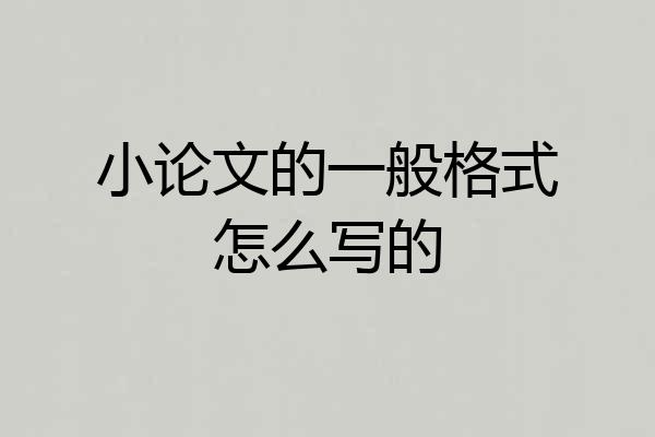 小论文的一般格式怎么写的