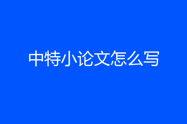 中特小论文怎么写