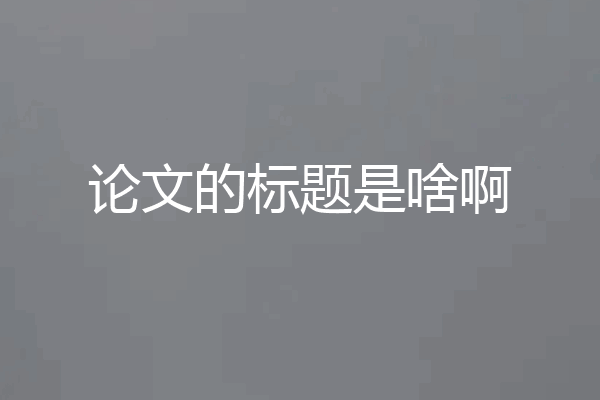 论文的标题是啥啊