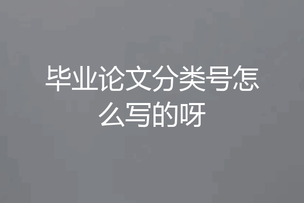 毕业论文分类号怎么写的呀