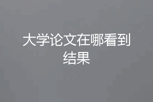 大学论文在哪看到结果