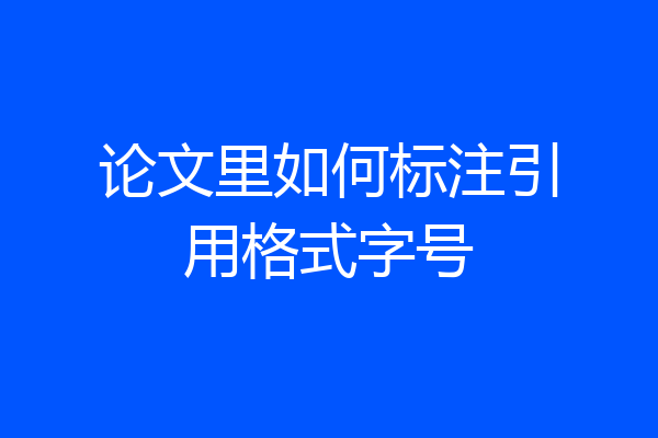 论文里如何标注引用格式字号