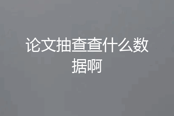 论文抽查查什么数据啊