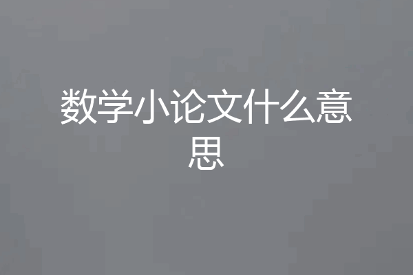 数学小论文什么意思