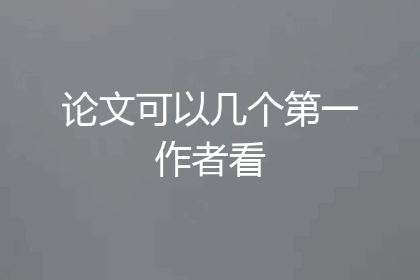 论文可以几个第一作者看