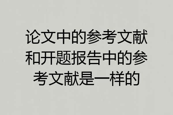 论文中的参考文献和开题报告中的参考文献是一样的