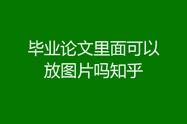 毕业论文里面可以放图片吗知乎
