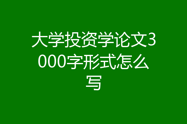 大学投资学论文3000字形式怎么写