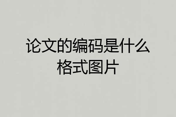 论文的编码是什么格式图片