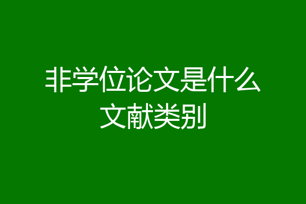 非学位论文是什么文献类别