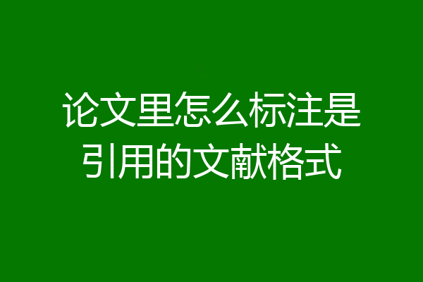 论文里怎么标注是引用的文献格式