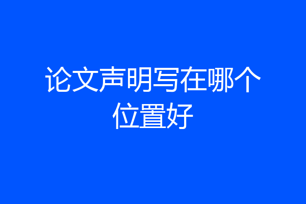 论文声明写在哪个位置好