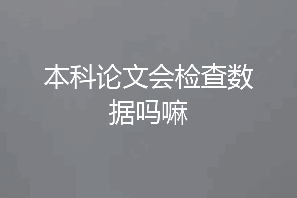 本科论文会检查数据吗嘛