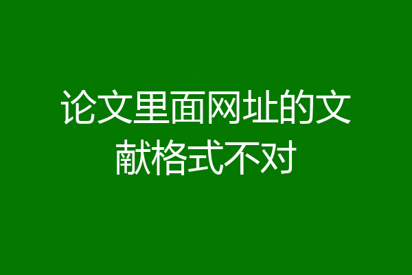 论文里面网址的文献格式不对