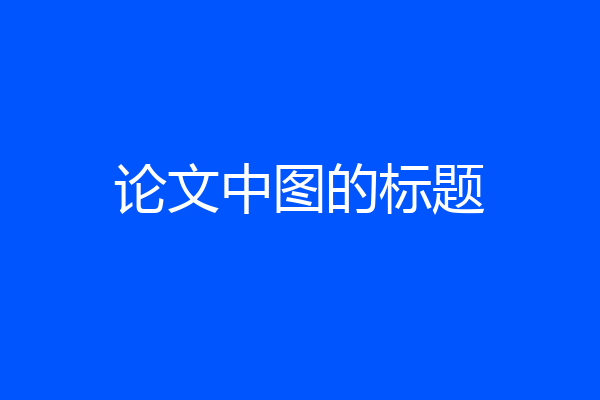 论文中图的标题