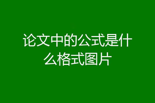 论文中的公式是什么格式图片