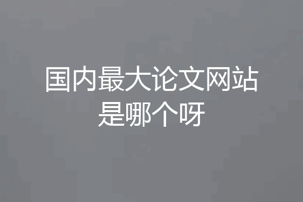 国内最大论文网站是哪个呀