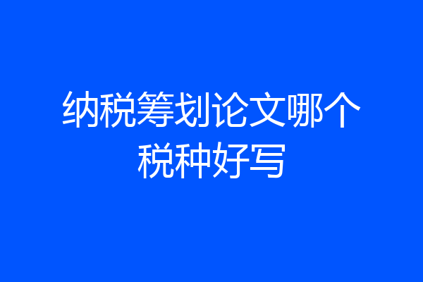 纳税筹划论文哪个税种好写