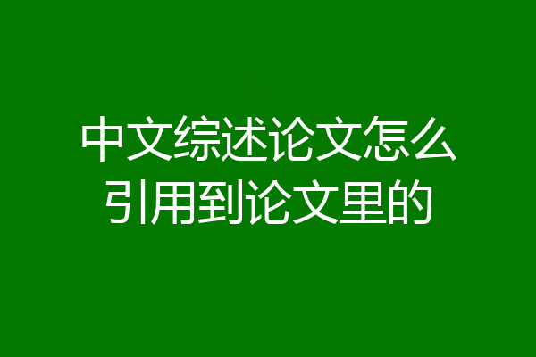 中文综述论文怎么引用到论文里的