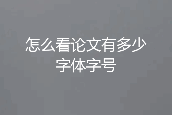 怎么看论文有多少字体字号