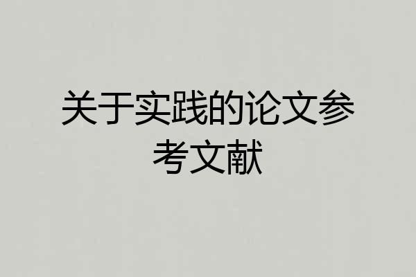 关于实践的论文参考文献