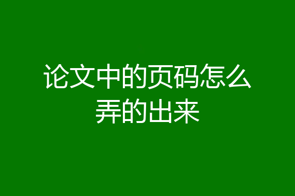 论文中的页码怎么弄的出来
