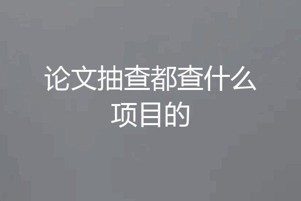 论文抽查都查什么项目的