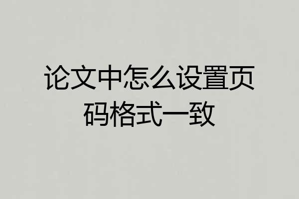 论文中怎么设置页码格式一致