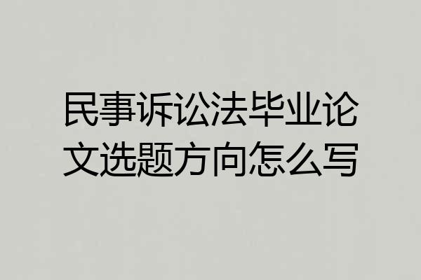 民事诉讼法毕业论文选题方向怎么写