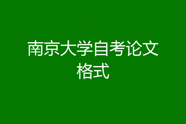 南京大学自考论文格式