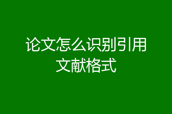 论文怎么识别引用文献格式