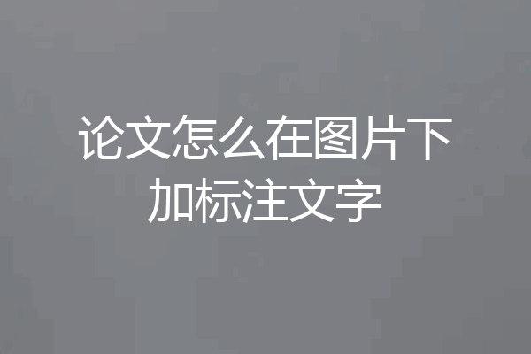 论文怎么在图片下加标注文字