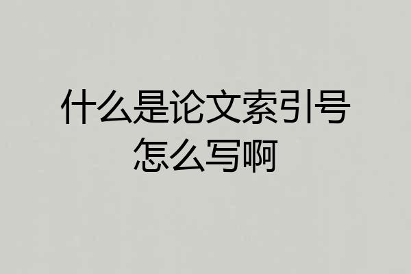 什么是论文索引号怎么写啊