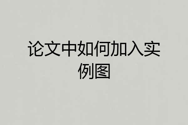 论文中如何加入实例图