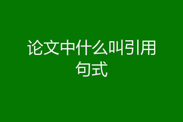 论文中什么叫引用句式