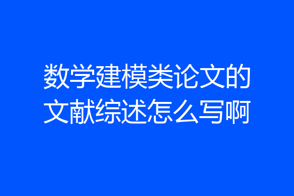 数学建模类论文的文献综述怎么写啊