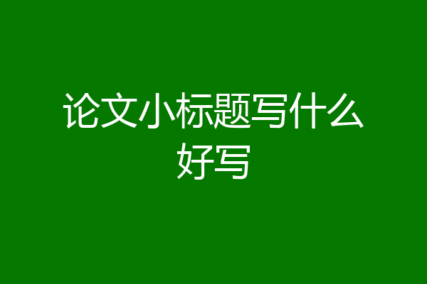 论文小标题写什么好写