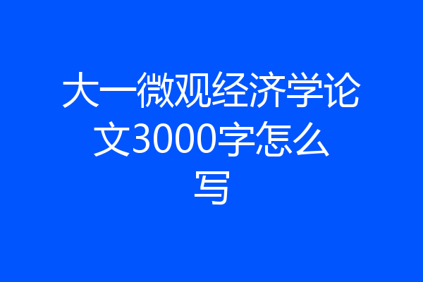 大一微观经济学论文3000字怎么写