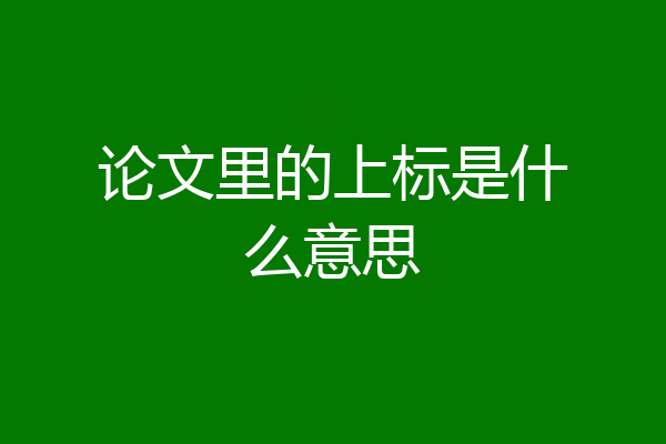 论文里的上标是什么意思