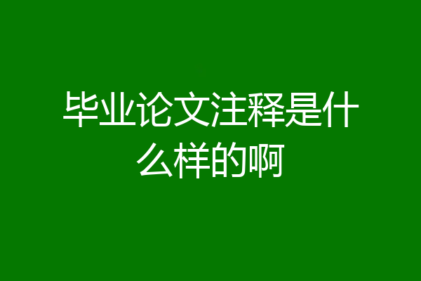 毕业论文注释是什么样的啊