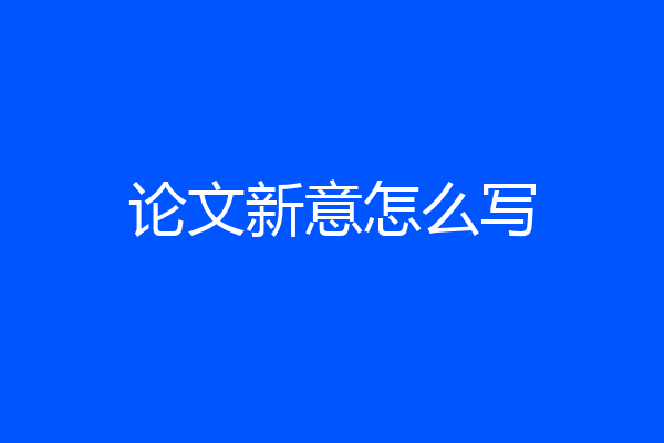 论文新意怎么写